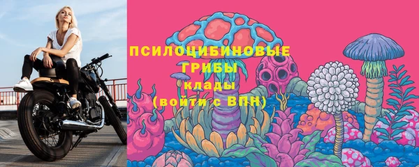 прущие крисы Алзамай
