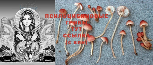 гашиш Алексеевка